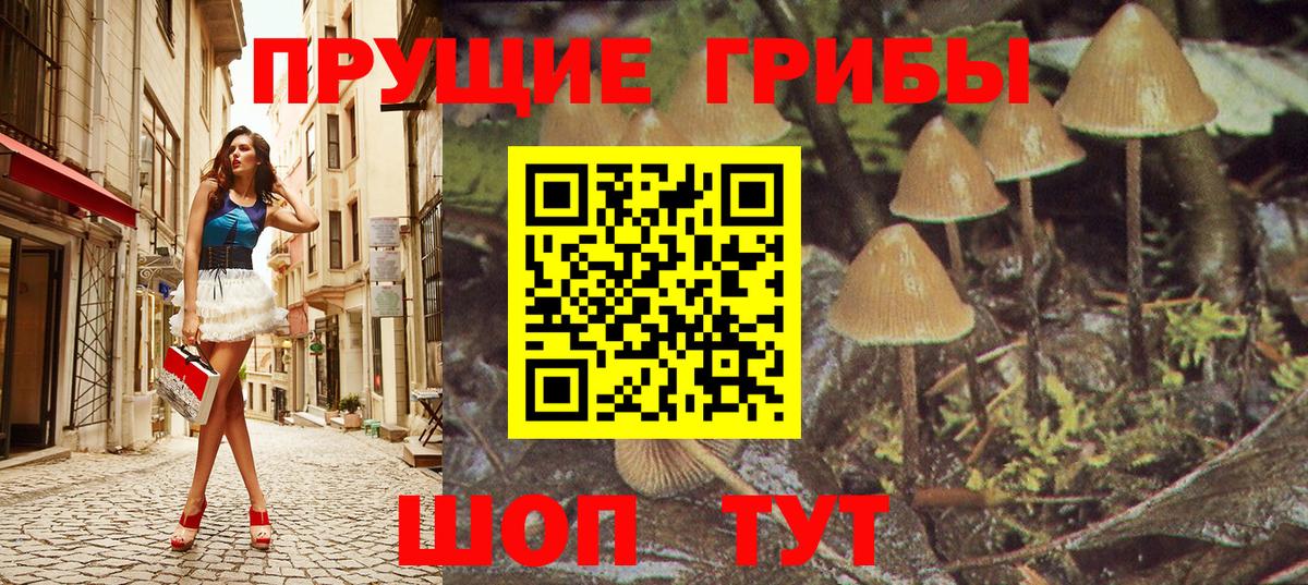 Галлюциногенные грибы Cubensis  Галлюциногенные грибы прущие грибы  Вход с VPN  Калач-на-Дону 